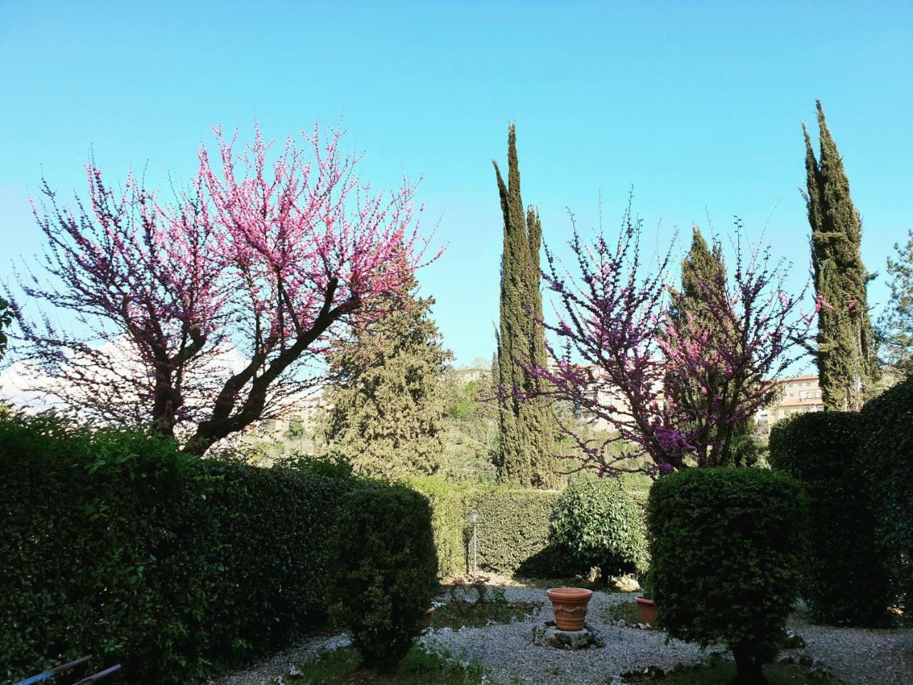 Villa Zara Siena Zewnętrze zdjęcie